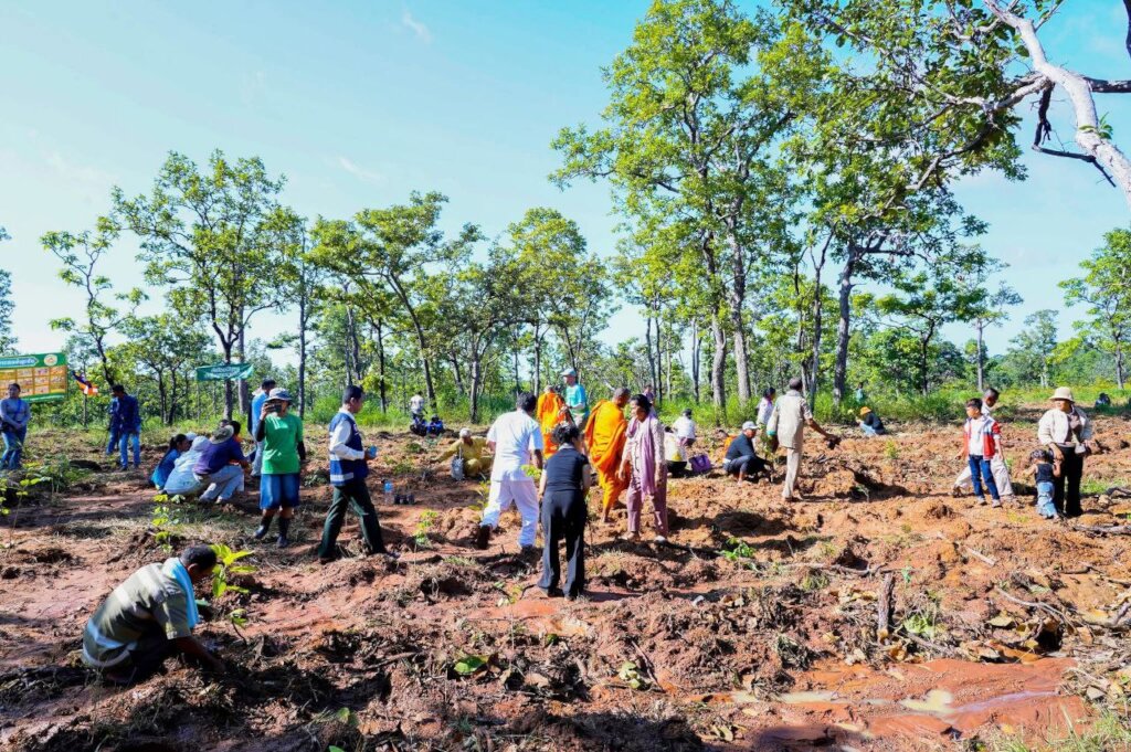 MCF Tree Planting Event