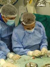 Loading the device used to close the hole in heart