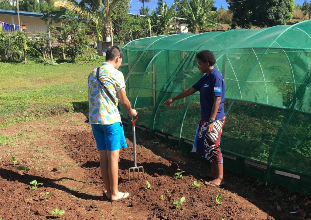 Education and Public Health and Safety In Fiji