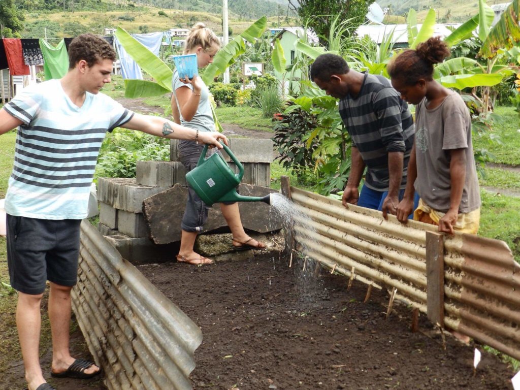 Education and Public Health In Fiji
