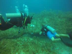 Coral Monitoring