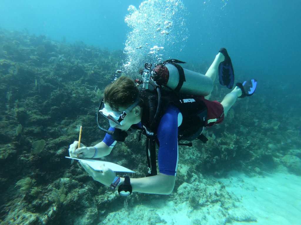 Coral Reef Restoration & Conservation In Mexico