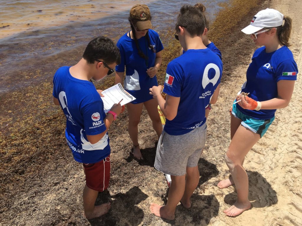 Coral Reef Restoration & Conservation In Mexico
