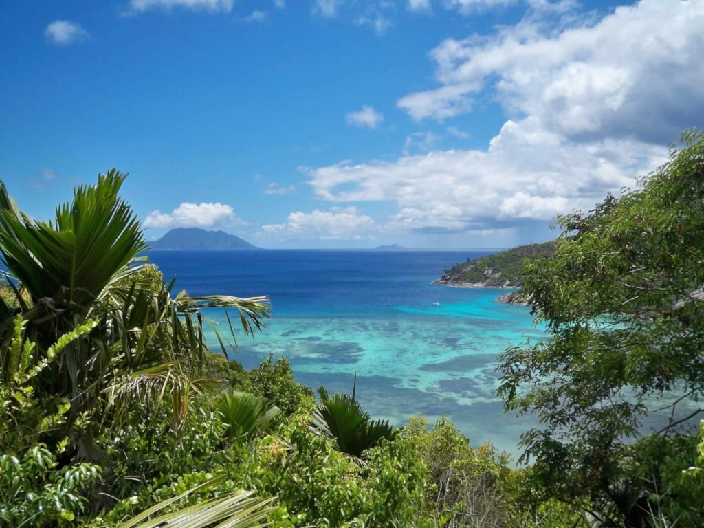 Coral Reef Conservation In Seychelles