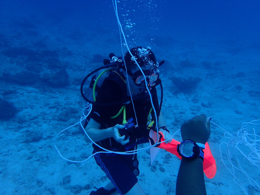 Coral Reef Conservation In Seychelles