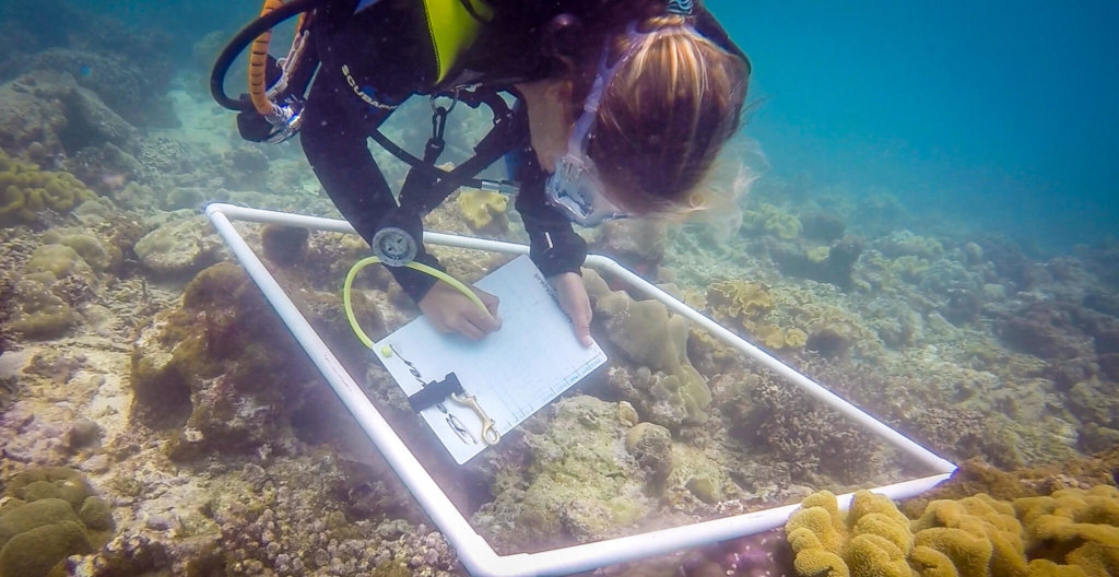 Coral Reef Conservation In Seychelles
