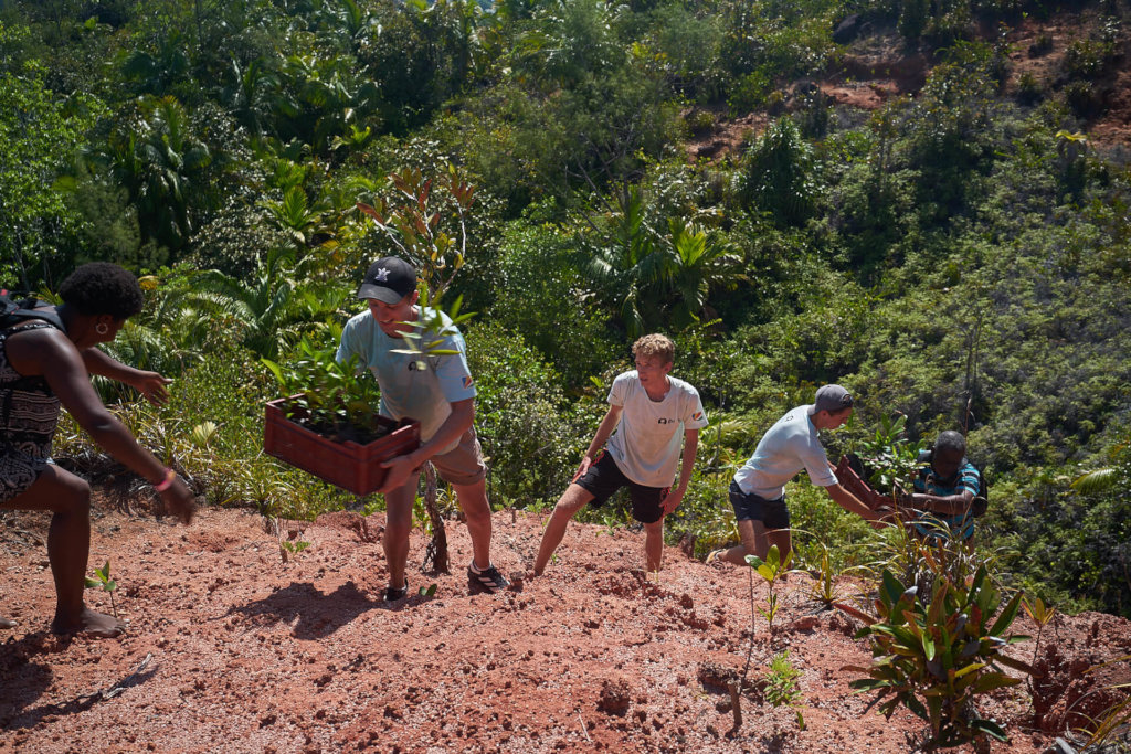 Shark & Turtle Conservation In Seychelles
