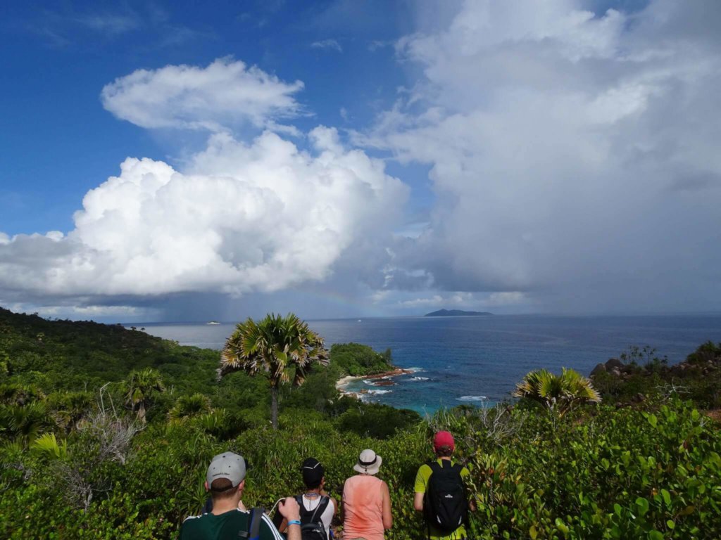 Shark & Turtle Conservation In Seychelles