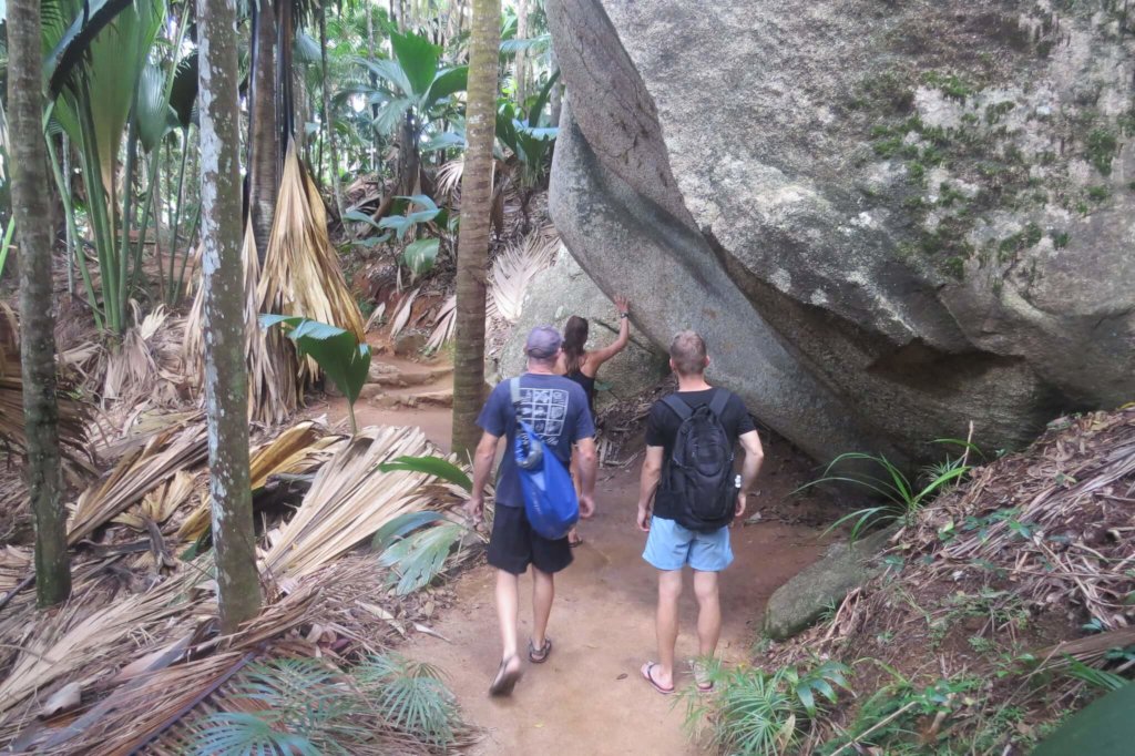 Shark & Turtle Conservation In Seychelles
