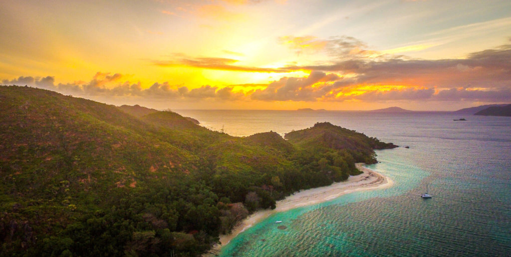 Shark & Turtle Conservation In Seychelles