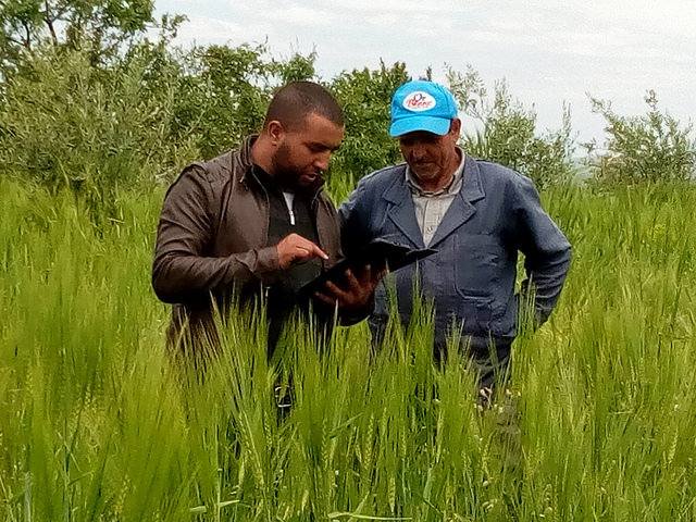 Offset Your Emissions: High Atlas Carbon Solution