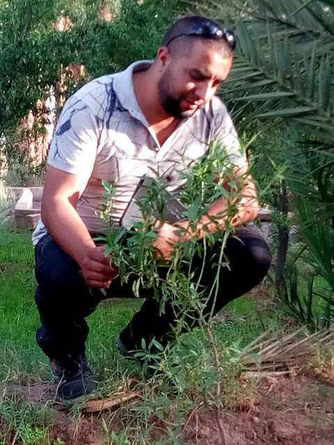 Offset Your Emissions: High Atlas Carbon Solution