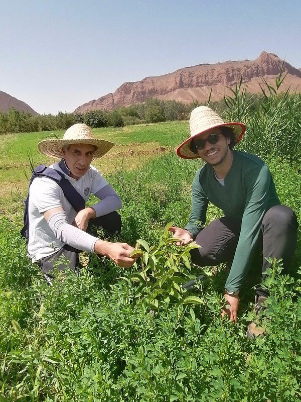 Offset Your Emissions: High Atlas Carbon Solution