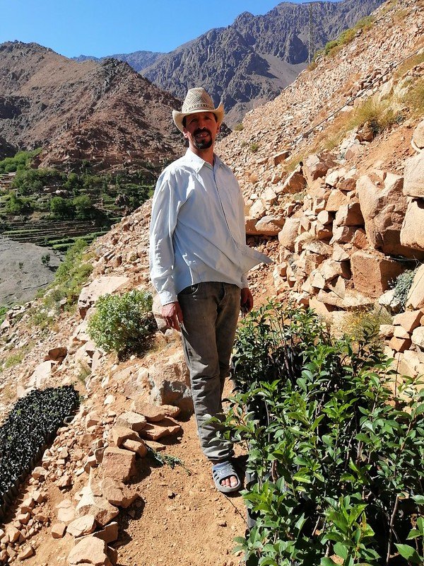 Offset Your Emissions: High Atlas Carbon Solution