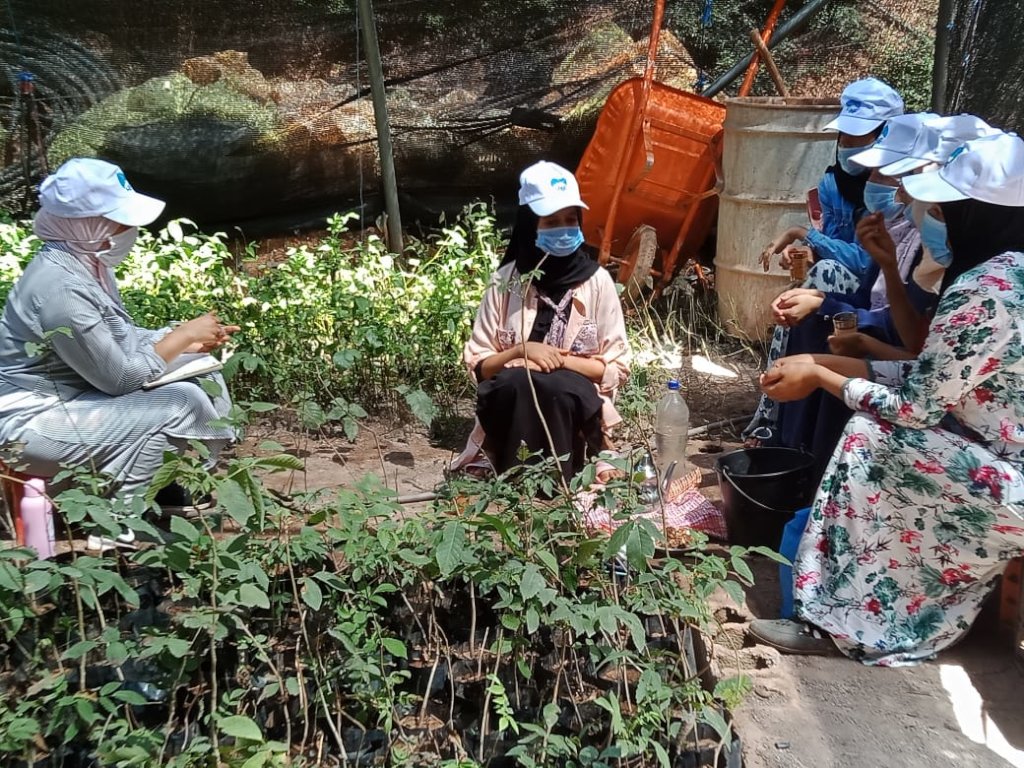 Offset Your Emissions: High Atlas Carbon Solution