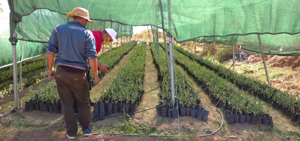 Offset Your Emissions: High Atlas Carbon Solution