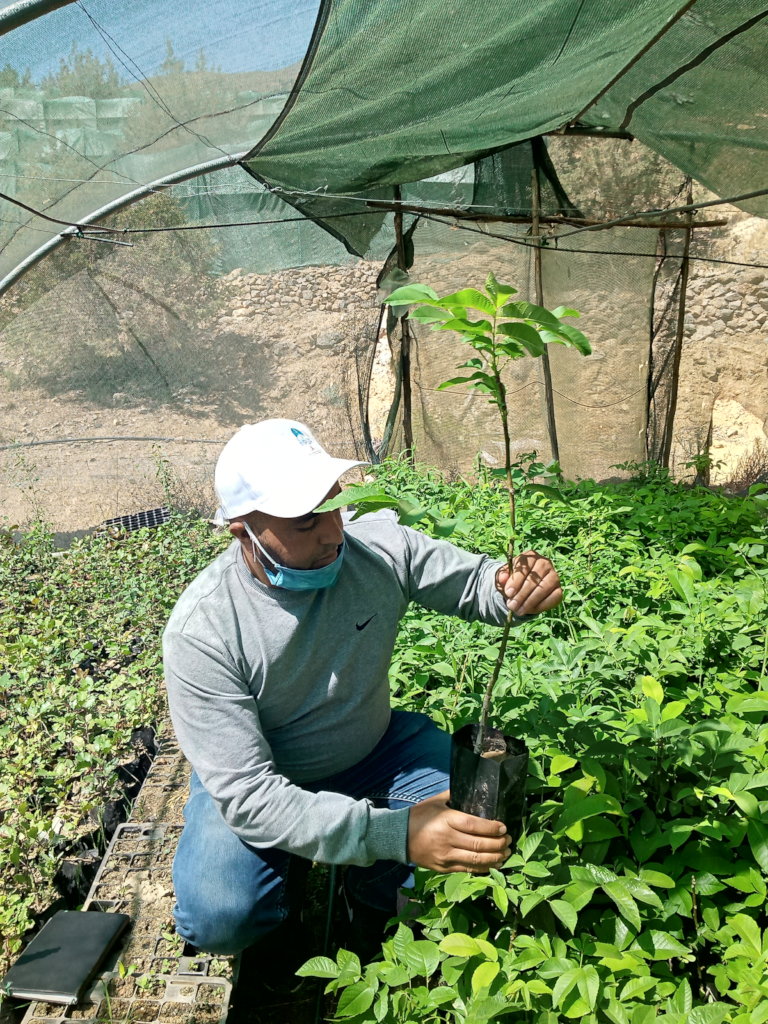 Offset Your Emissions: High Atlas Carbon Solution