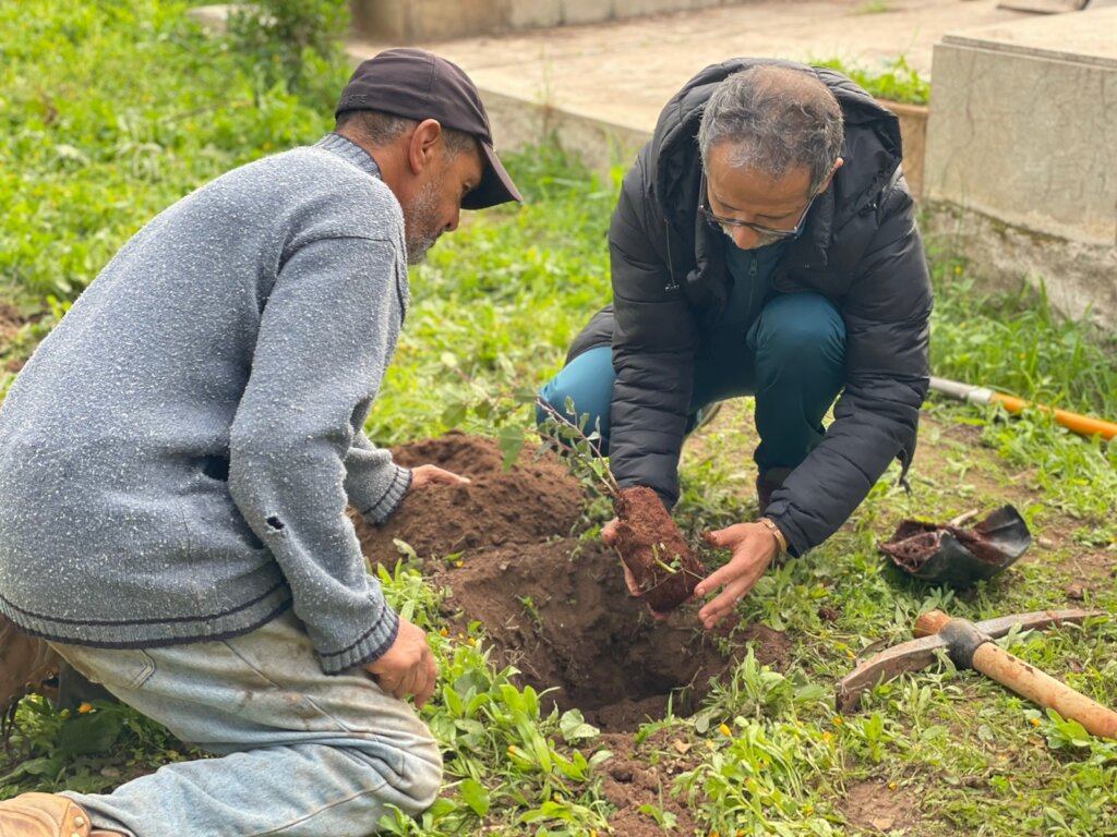 Offset Your Emissions: High Atlas Carbon Solution