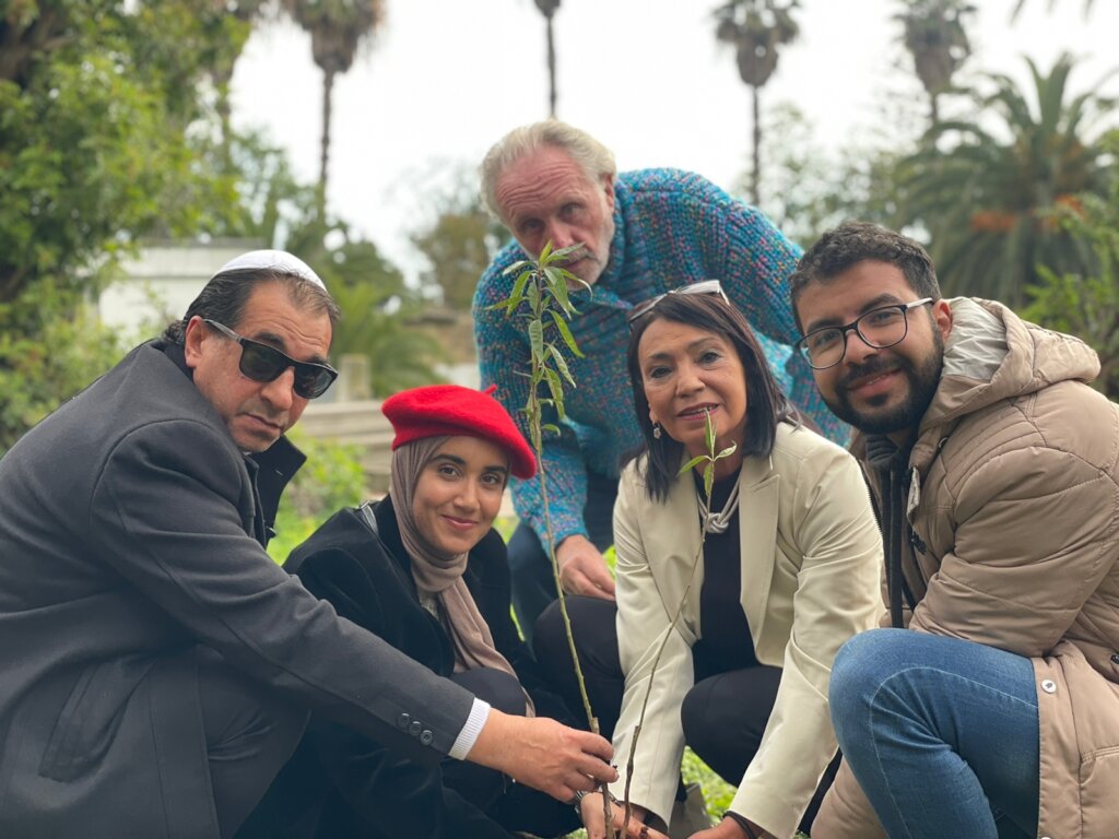 Offset Your Emissions: High Atlas Carbon Solution