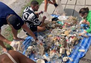 sorting litter collected