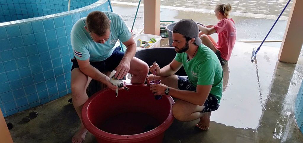 Marine and Coastal Conservation in Thailand