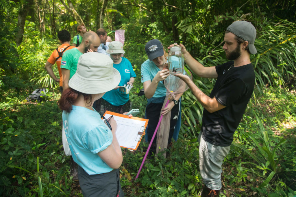 Marine and Coastal Conservation in Thailand