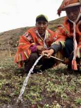 Llama farmers testing the irrigation flow.