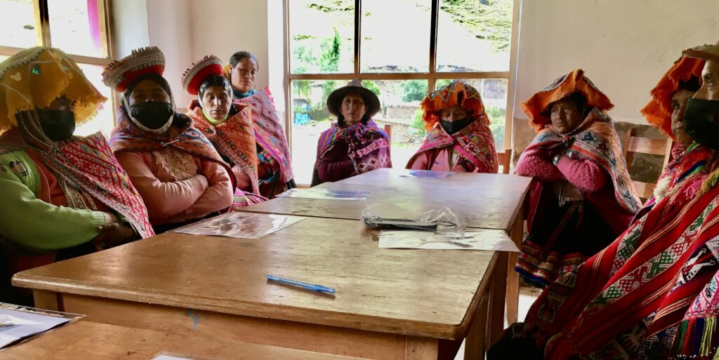Discussing challenges and solutions in Quishuarani