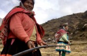 Help llama farmers access water to improve pasture