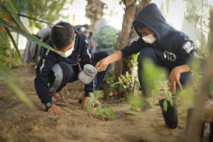 Planting activity for science class