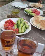 A spread for children after the olive harvest