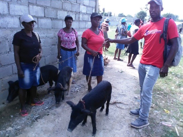 Fight 4 Haiti's Communities-Konba Pou Kominote!