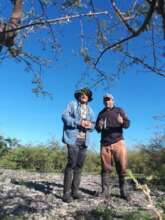 Willow flycatcher monitoring January 2022