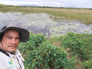 Marlon Sotelo monitoring flyacatchers at Tisma