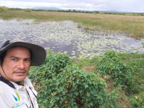 Marlon Sotelo monitoring flyacatchers at Tisma