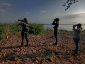 Birding for flycatchers and more