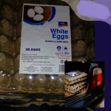 almost 700 egg trays distributed