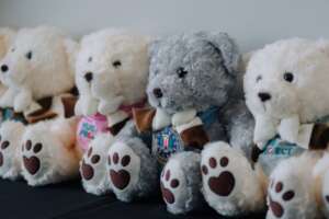 Teddy bears for survivors