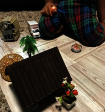 Play therapy service