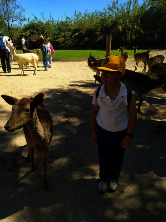 Open door school for blind children in Guadalajara