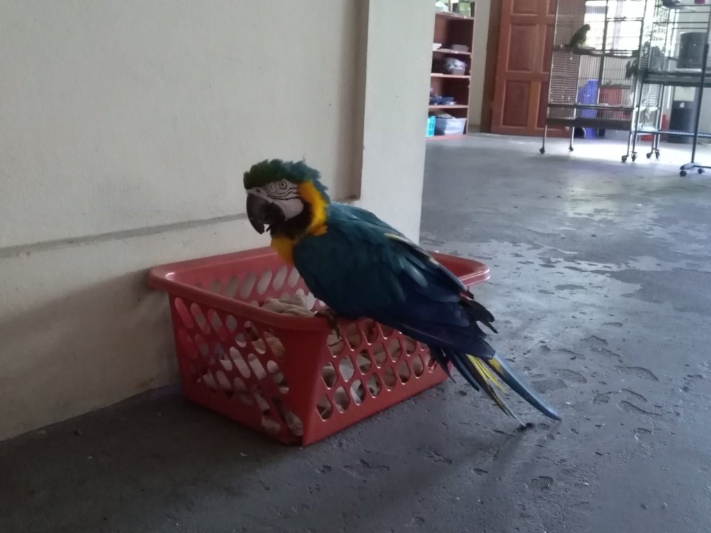 Papi's Playhouse & Special Needs Enrichment Centre