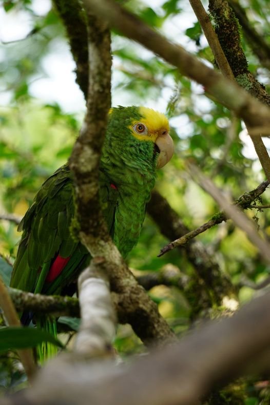 Papi's Playhouse & Special Needs Enrichment Centre