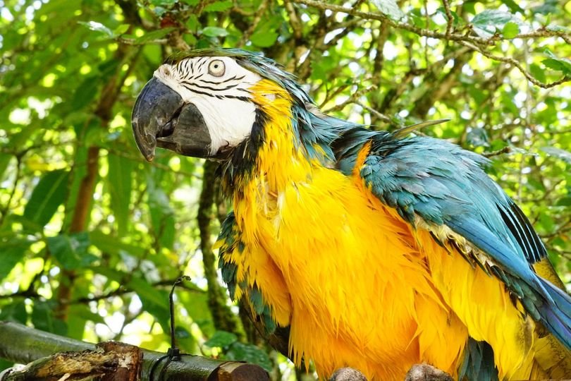 Papi's Playhouse & Special Needs Enrichment Centre