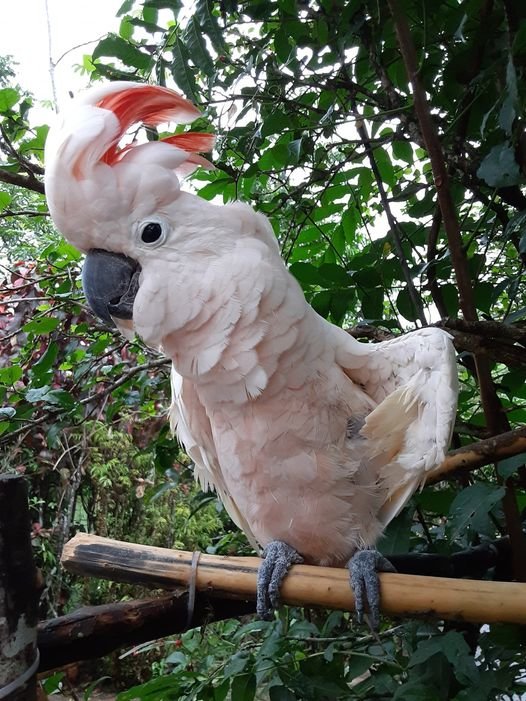 Papi's Playhouse & Special Needs Enrichment Centre