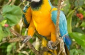 Papi's Playhouse & Special Needs Enrichment Centre