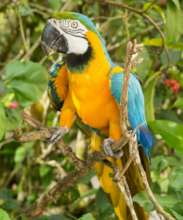 Papi's Playhouse & Special Needs Enrichment Centre