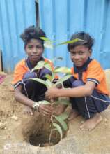 Environment Day Celebration