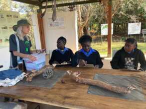 Environmental education to life