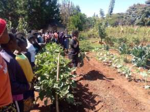 Visit to Organic Farm in June 2022