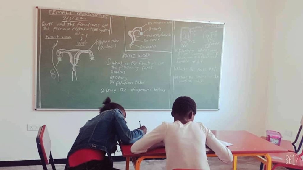 Educate Girls in Zambia on Gender Equity